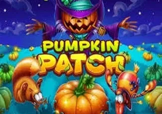 Pumpkin Patch